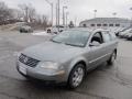Stonehenge Grey Metallic - Passat GLS 1.8T Wagon Photo No. 6