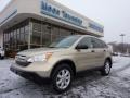 2008 Borrego Beige Metallic Honda CR-V EX 4WD  photo #1