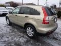 Borrego Beige Metallic - CR-V EX 4WD Photo No. 2