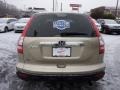 2008 Borrego Beige Metallic Honda CR-V EX 4WD  photo #3