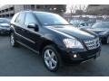 Black - ML 350 4Matic Photo No. 5