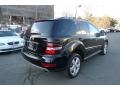 Black - ML 350 4Matic Photo No. 9