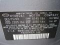 MAD: Carbon Gray Mist 2010 Hyundai Elantra Touring SE Color Code