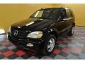 Black - ML 350 4Matic Photo No. 2