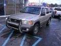 Sahara Beige Metallic - Pathfinder SE 4x4 Photo No. 2