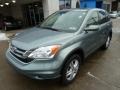 2010 Opal Sage Metallic Honda CR-V EX-L AWD  photo #11