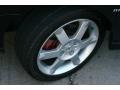 Blackout - Sentra SE-R Spec V Photo No. 19