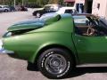 Elkhart Green - Corvette Stingray Coupe Photo No. 30