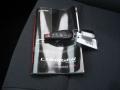 Bright Silver Metallic - Charger SXT Photo No. 31