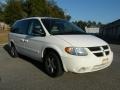 Stone White - Grand Caravan SXT Photo No. 6