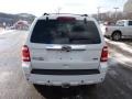 2010 White Suede Ford Escape Limited V6 4WD  photo #3