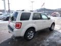 2010 White Suede Ford Escape Limited V6 4WD  photo #4