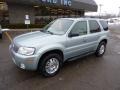 Satellite Silver Metallic - Mariner V6 Premier 4WD Photo No. 8