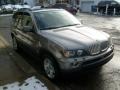 Sterling Grey Metallic - X5 4.4i Photo No. 6