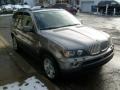 2005 Sterling Grey Metallic BMW X5 4.4i  photo #6