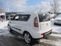 2010 Clear White Kia Soul Sport  photo #7