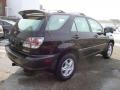 2001 Black Onyx Lexus RX 300 AWD  photo #9