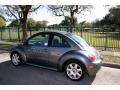 Platinum Grey Metallic - New Beetle GLX 1.8T Coupe Photo No. 4