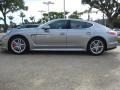 Platinum Silver Metallic - Panamera Turbo Photo No. 2