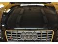 Phantom Black Pearl Effect - S5 4.2 quattro Photo No. 23