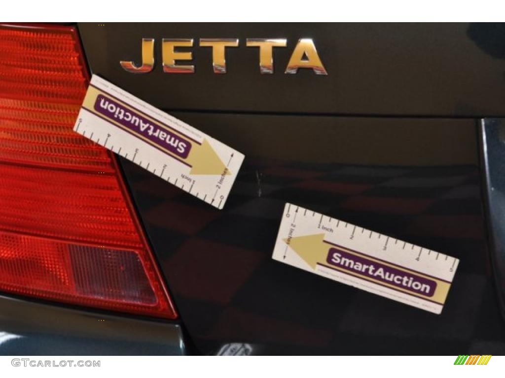 2001 Jetta GL Sedan - Baltic Green / Black photo #27