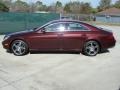 Barolo Red Metallic - CLS 550 Photo No. 6