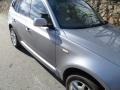 Silver Grey Metallic - X3 3.0si Photo No. 15