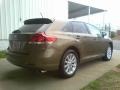 2009 Golden Umber Mica Toyota Venza I4  photo #16