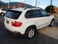 Alpine White - X5 3.0si Photo No. 9