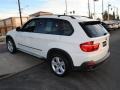 Alpine White - X5 3.0si Photo No. 11