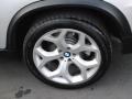 Titanium Silver Metallic - X5 4.8i Photo No. 10