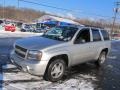 Silverstone Metallic - TrailBlazer LS 4x4 Photo No. 4