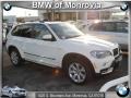 Alpine White - X5 3.0si Photo No. 1