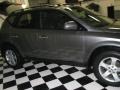 Platinum Metallic - Murano SL AWD Photo No. 5