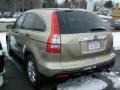 2008 Borrego Beige Metallic Honda CR-V EX 4WD  photo #3