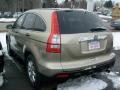 Borrego Beige Metallic - CR-V EX 4WD Photo No. 3