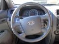 Gray Steering Wheel Photo for 2009 Kia Borrego #42687959