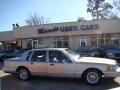 Opal Grey Pearlescent - Town Car Executive Photo No. 1
