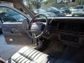 Opal Grey Pearlescent - Town Car Executive Photo No. 16