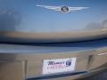Silver Steel Metallic - 300 Touring Photo No. 34