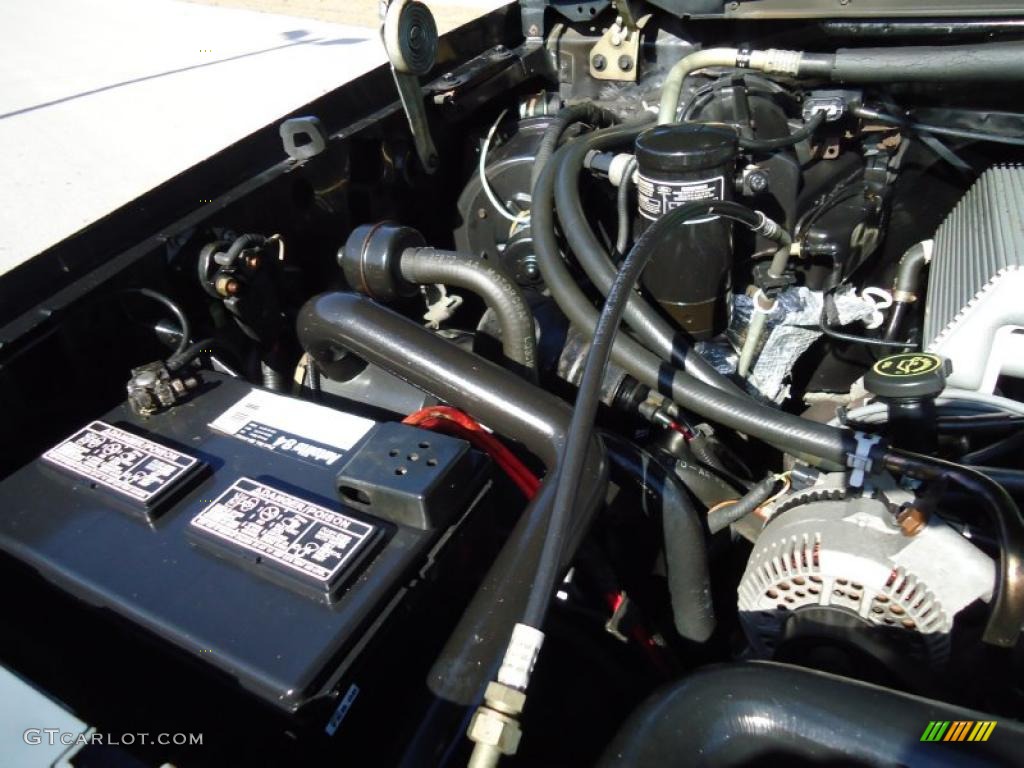 1993 Ford F150 SVT Lightning 5.8 Liter SVT Lightning OHV 16-Valve V8 Engine Photo #42699699
