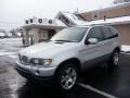 2001 Titanium Silver Metallic BMW X5 4.4i  photo #1