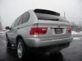 2001 Titanium Silver Metallic BMW X5 4.4i  photo #15