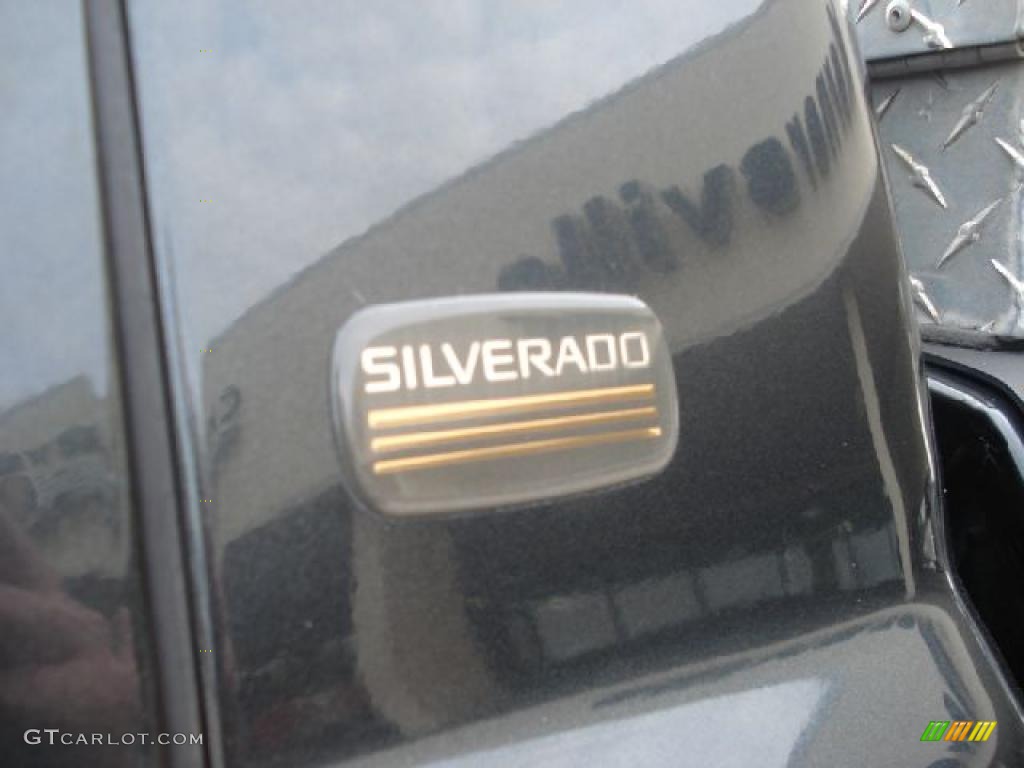 2003 Silverado 1500 LS Regular Cab - Dark Gray Metallic / Medium Gray photo #25