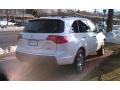 Aspen White Pearl - MDX Technology Photo No. 5