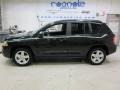 Natural Green Pearl 2010 Jeep Compass Sport