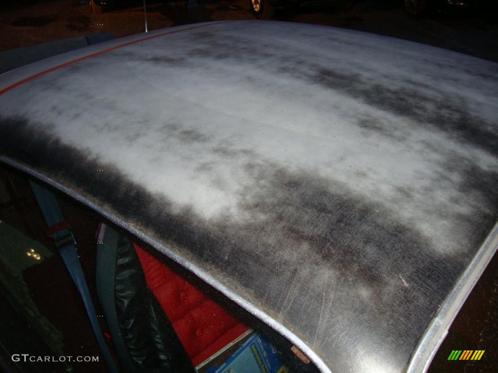 1979 Camaro Rally Sport - Silver / Carmine Red photo #18