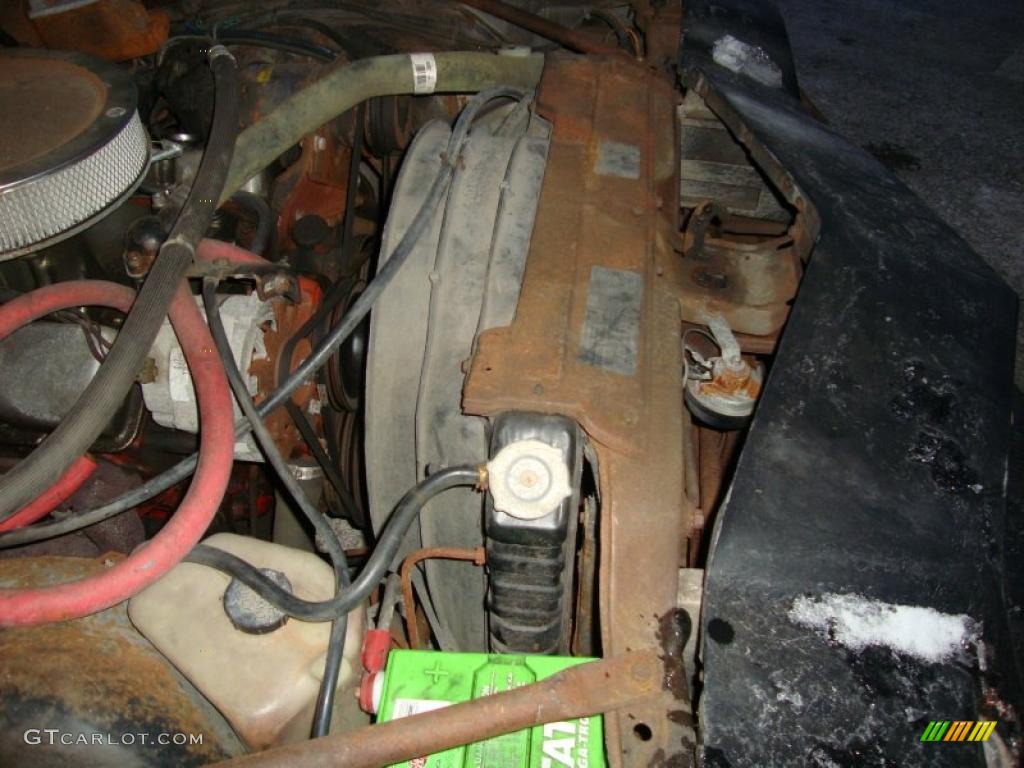 1979 Chevrolet Camaro Rally Sport Engine Photos