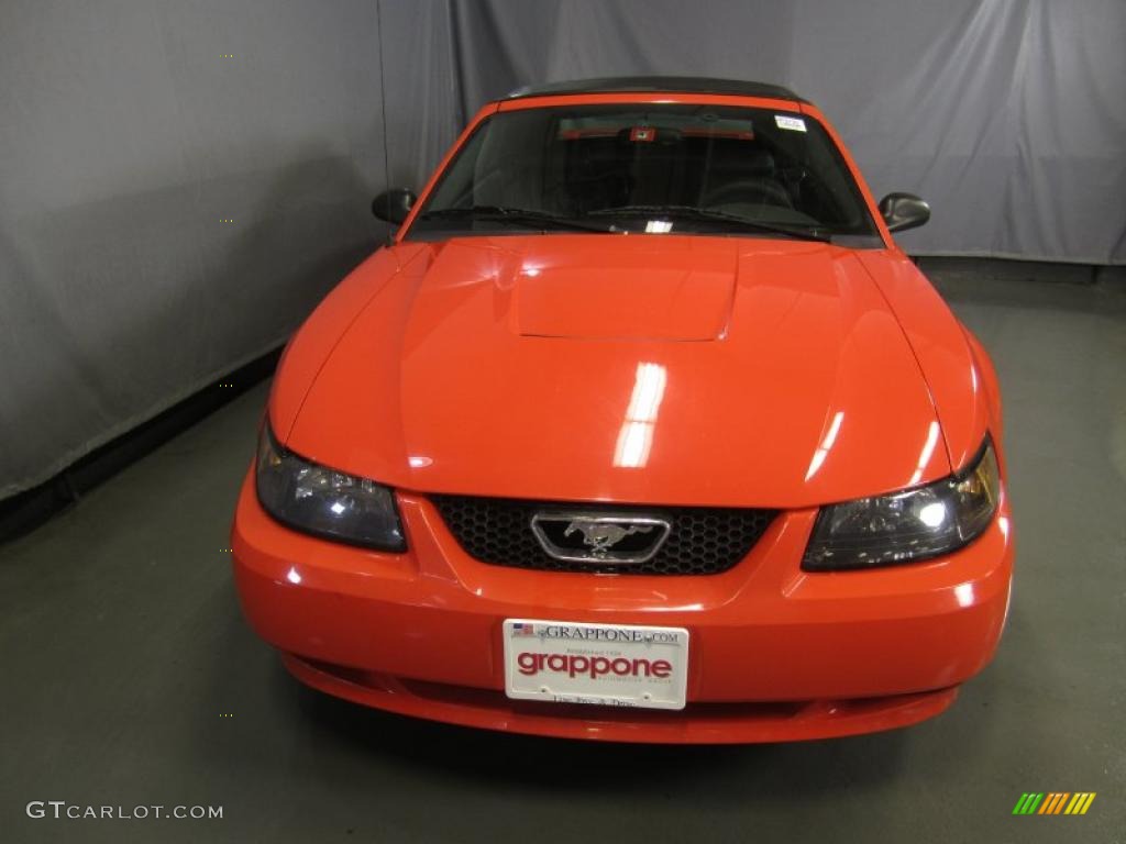 2004 Mustang V6 Convertible - Competition Orange / Dark Charcoal photo #2