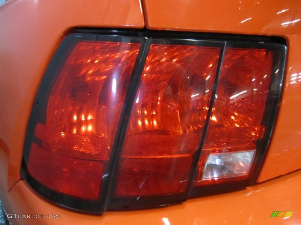 2004 Mustang V6 Convertible - Competition Orange / Dark Charcoal photo #13